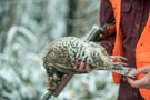 rf-chasse-forfait-releve.jpg